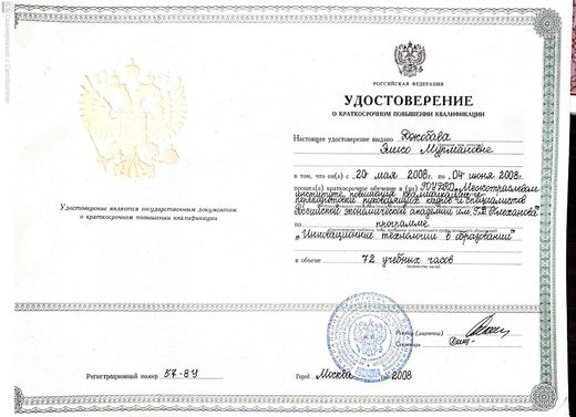 Удостоверение: инновационные технологии в образовании, РЭА им. Г.В. Плеханова, 2008