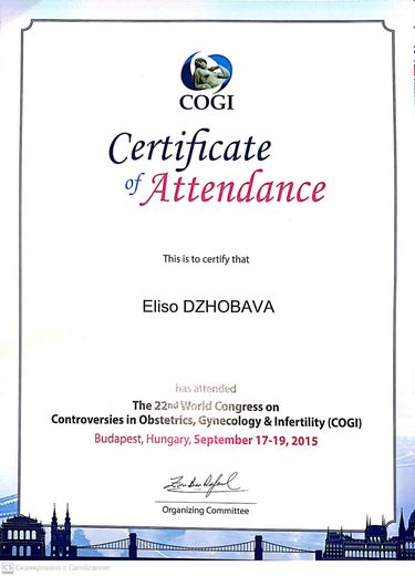 Сертификат участника конгресса COGI, Будапешт, 2015